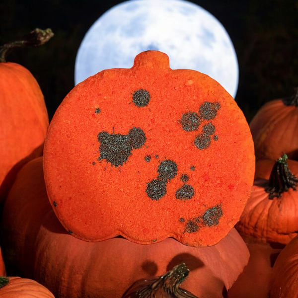 Pumpkin Bath Bomb - Random